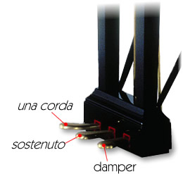 The Pedals